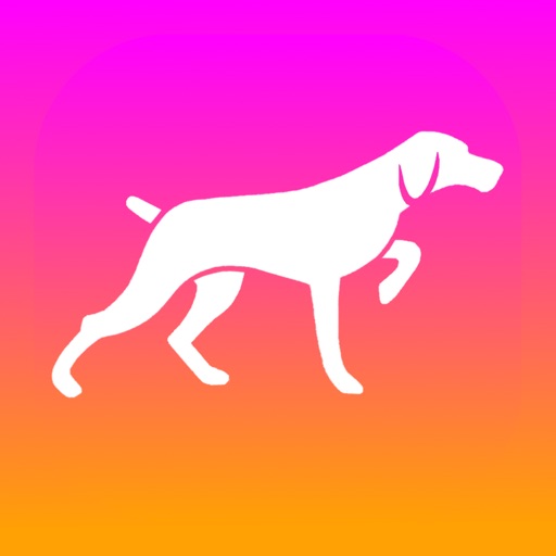 Tracken: Finances Personnelles